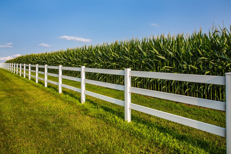 Split Rail Fence Staining