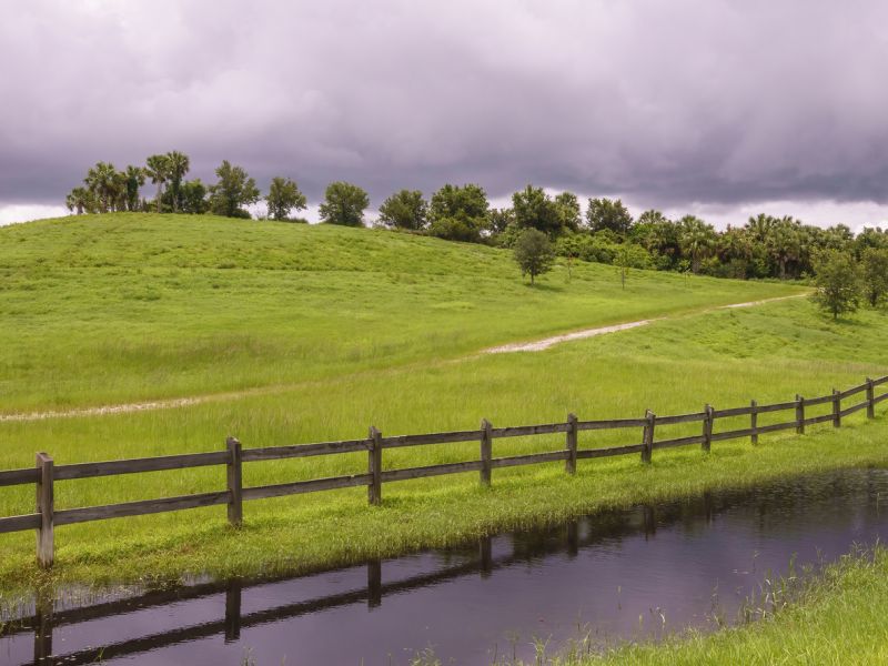 Split Rail Fence Staining