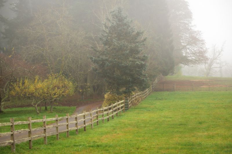 Prevents weather damage